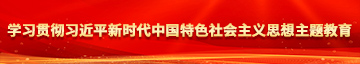 哦哦……大鸡把……用力学习贯彻习近平新时代中国特色社会主义思想主题教育