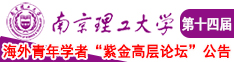 亚高清无码南京理工大学第十四届海外青年学者紫金论坛诚邀海内外英才！